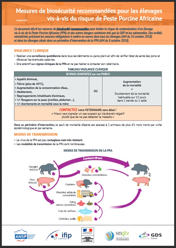 Porcins Maladies Peste Porcine Africaine Gds Hauts De France 1437