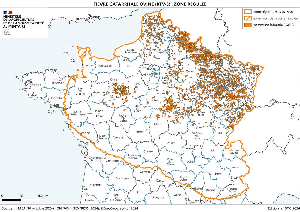 FCO –> LES INFORMATIONS IMPORTANTES A RETENIR