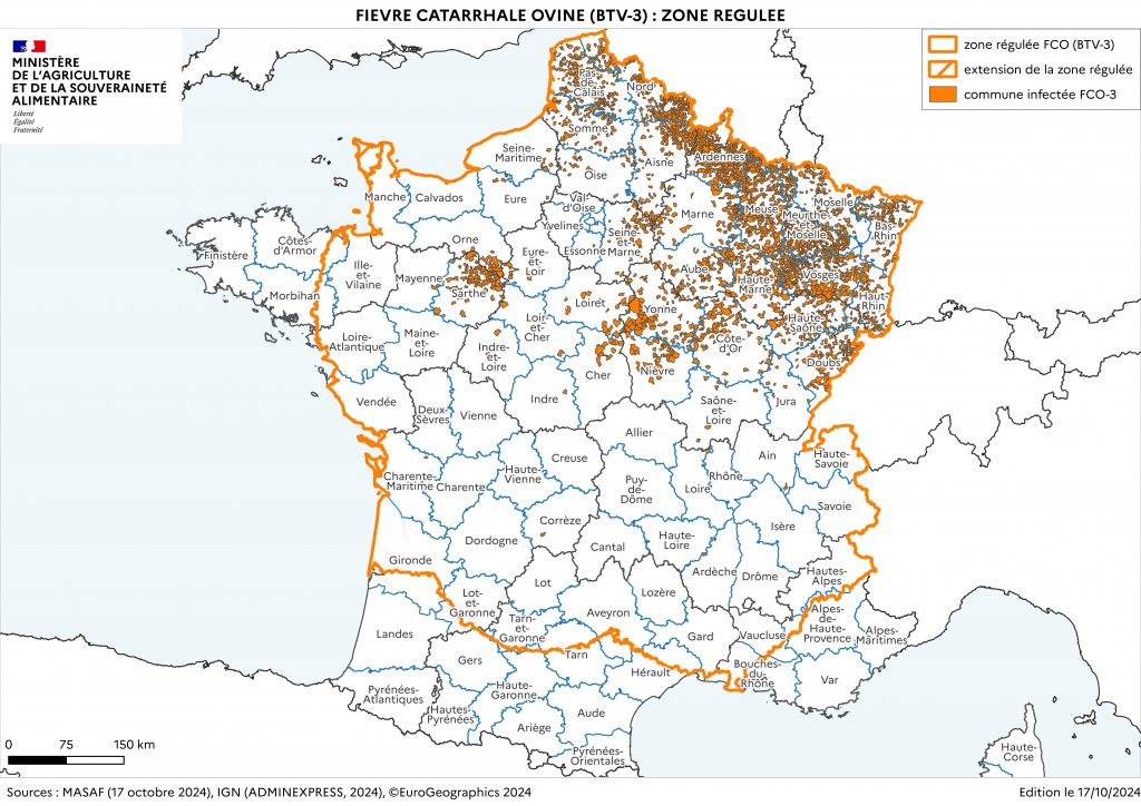 FCO –> LES INFORMATIONS IMPORTANTES A RETENIR