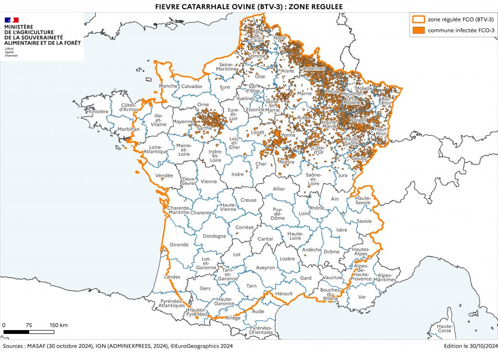 FCO –> LES INFORMATIONS IMPORTANTES A RETENIR