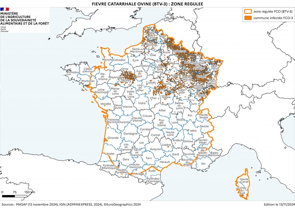 FCO –> SITUATION, VACCINATION et TEMOIGNAGES D’ELEVEURS