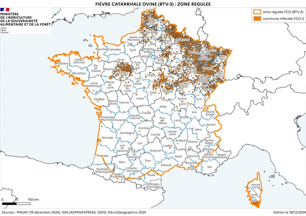 FCO –> SITUATION, VACCINATION et TEMOIGNAGES D’ELEVEURS