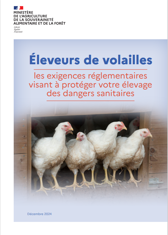 Aviculture : les exigences réglementaires visant à protéger votre élevage des dangers sanitaires